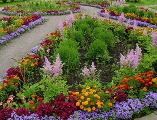 Garden35