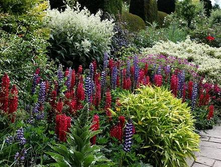 Garden5