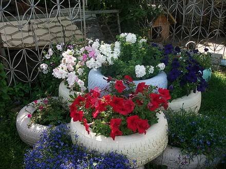 Garden7