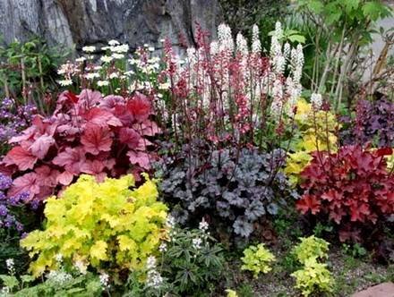 Garden8
