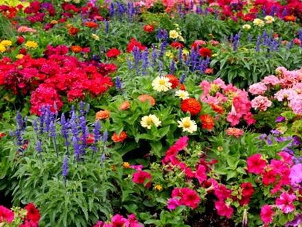 Garden9