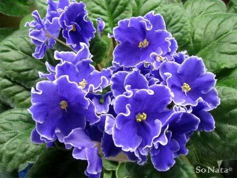 ГарриПоттер1