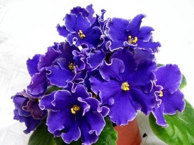 ГарриПоттер2