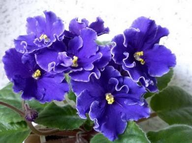 ГарриПоттер3