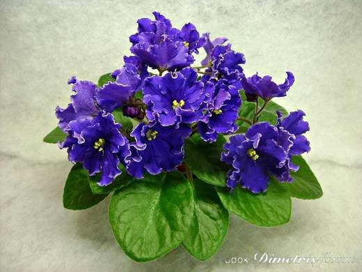 ГарриПоттер6