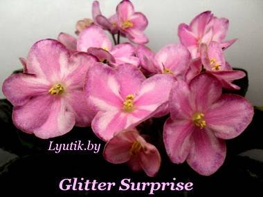 GlitterSurprise5