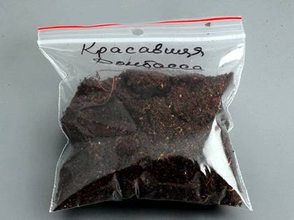 GloxiniaКлубни6