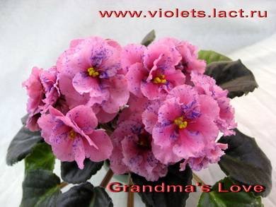 Grandma'sLove2