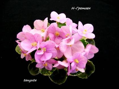 Гретхен7