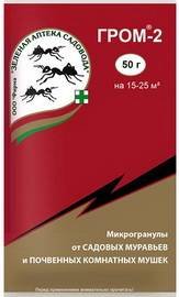 Гром-2a