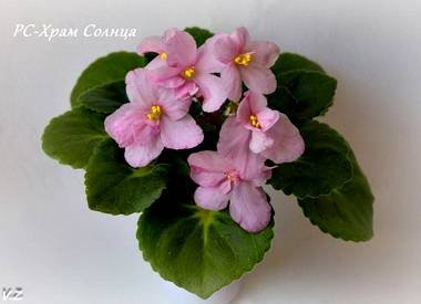 ХрамСолнца4