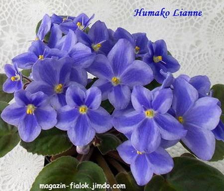 HumakoLianne1