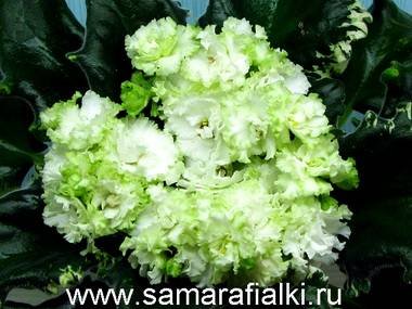 ИрландскаяЗима3