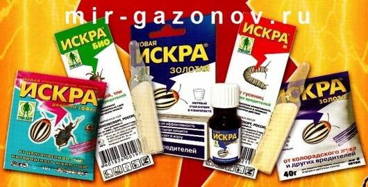 Искра1