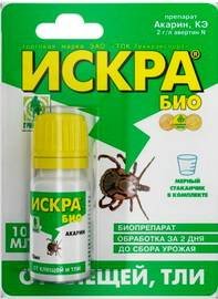 Искра4