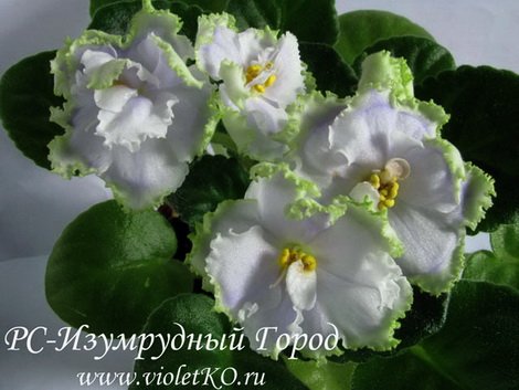 ИзумрудныйГород1