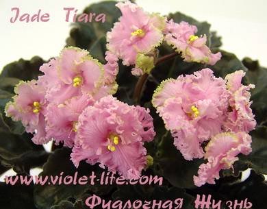 JadeTiara8