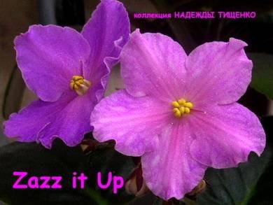 JazzItUp7