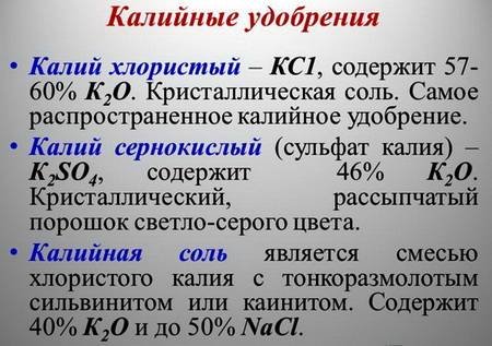 Калий1