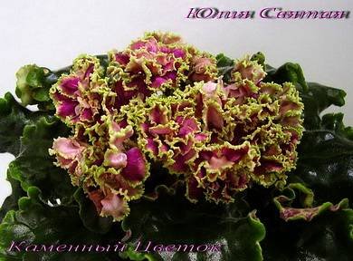 КаменныйЦветок5