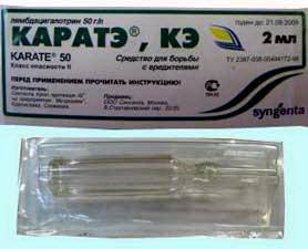 КаратеЗеон2