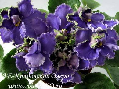 КолдовскоеОзеро8