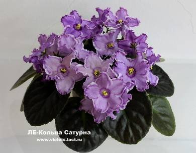 КольцаСатурна3