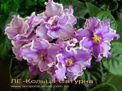 КольцаСатурна5