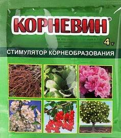 Корневин