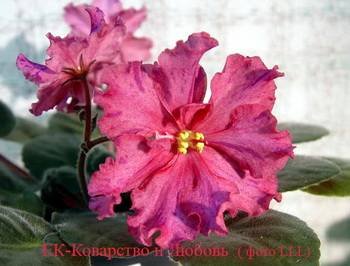 КоварствоИЛюбовь2