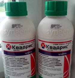 Квадрис2