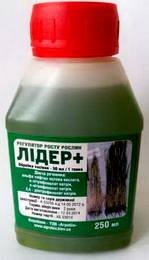 Лидер1