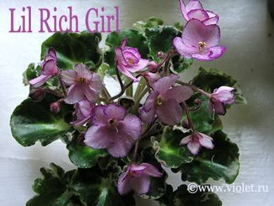 LilRichGirl7