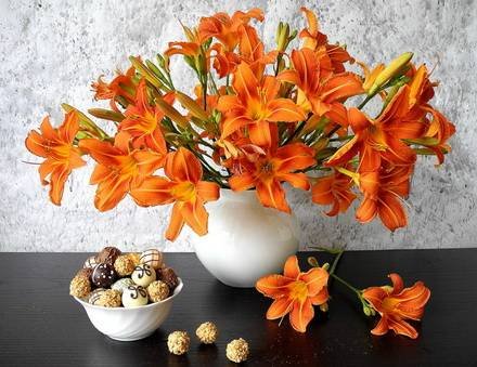 Lilium5