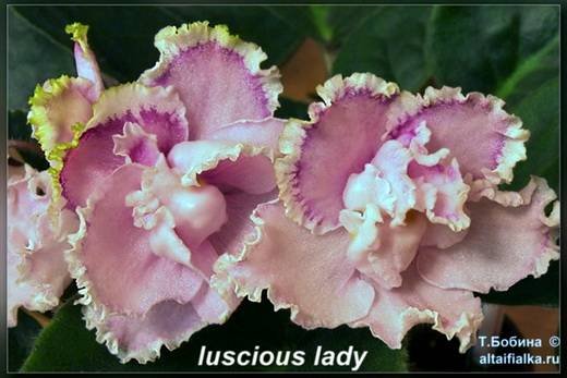 LusciousLady6