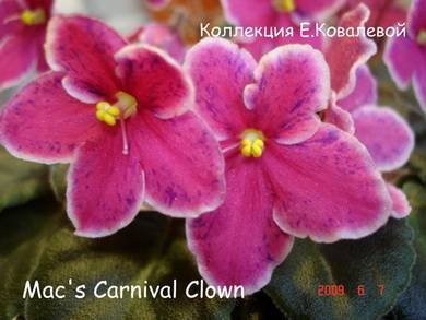 Mac'sCarnivalClown3