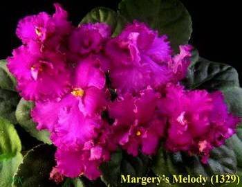 Margery'sMelody3