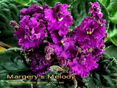 Margery'sMelody8