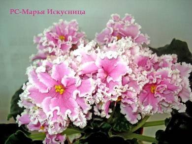 МарьяИскусница3