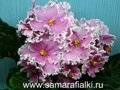 МарьяИскусница5
