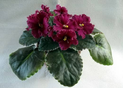Ma'sAlmostAutumn6