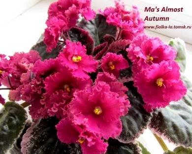 Ma'sAlmostAutumn7