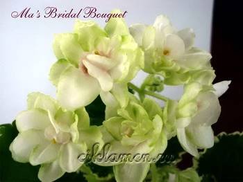 Ma'sBridalBouquet2
