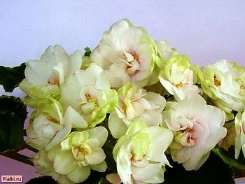 Ma'sBridalBouquet3