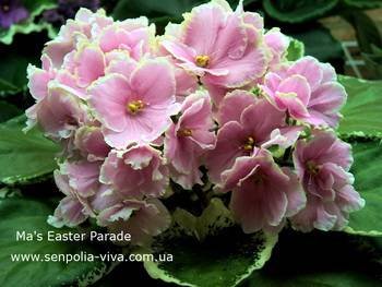 Ma'sEasterParade3