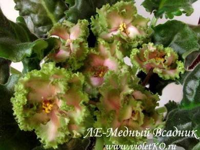 МедныйВсадник3