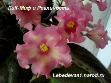 МифРеальность3