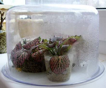 МиксВода9