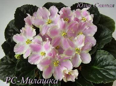 Милашка3