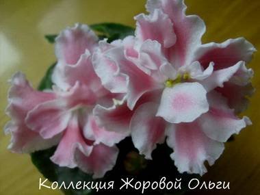 Миндаль2